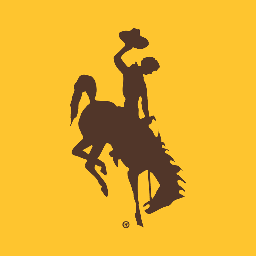 Wyoming Cowboys 2006-Pres Alternate Logo diy iron on heat transfer